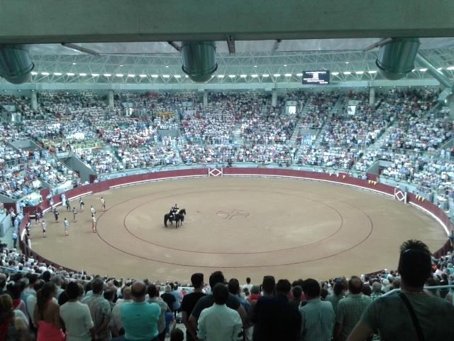 OliverPinedaR's tweet photo. Buena tarde taurina viendo a Castella, Perera y Roca Rey https://t.co/IAuaSFPeCl