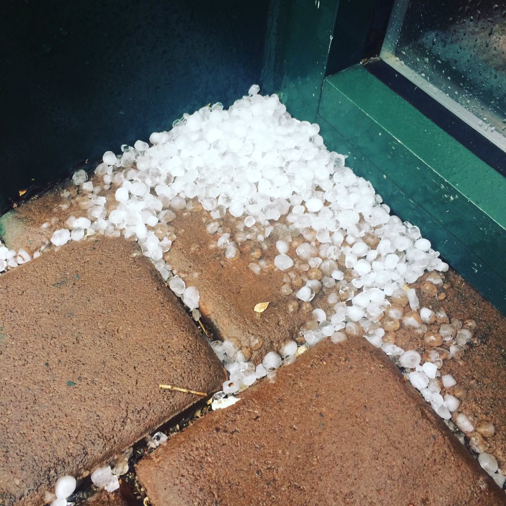 stglaser's tweet image. All HAIL O Davidson! Mother Nature says it's time to make a gift. #GiveDavidson davidson.edu/makeagift