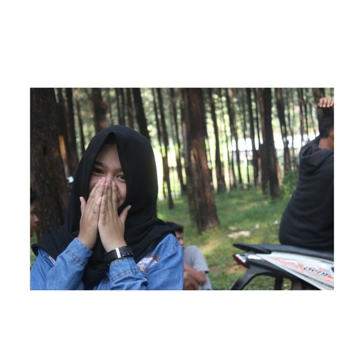 Hutan pinus #ngawi jawa timur