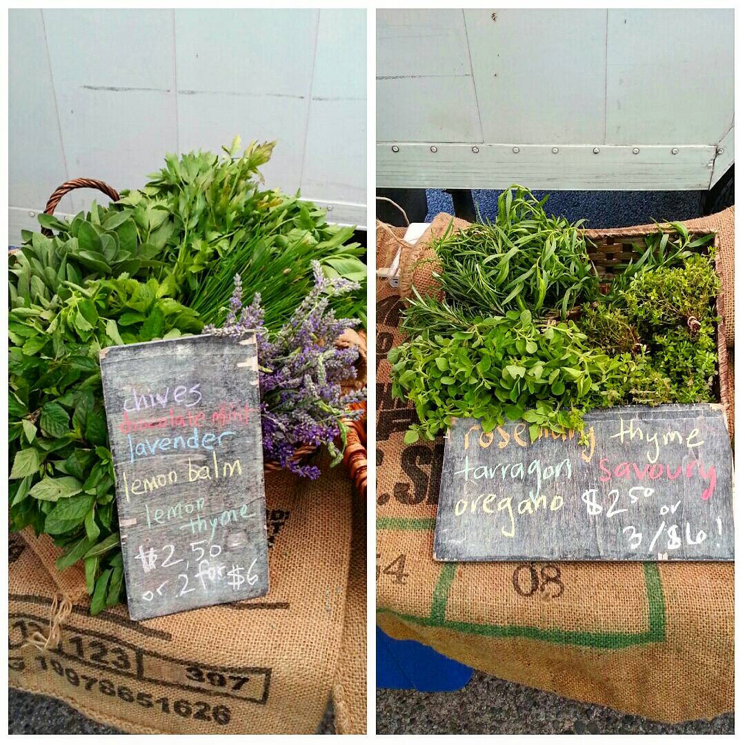 SoleFoodFarms's tweet photo. All herbs we offer at today's @VanMarkets #MainStStation are on special price of $2.50 or 3 for $6. Come get some! https://t.co/NiU3ja3W2x