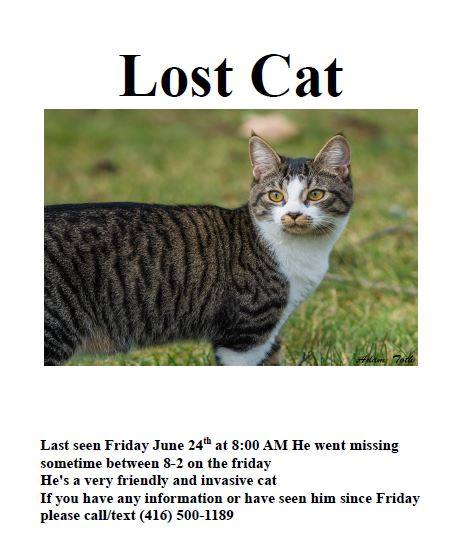 GuelphLostPets's tweet photo. Seen Bubba? Male cat went missing June 24, Drohan Dr area near #Clairfields Rd W south end of #Guelph. https://t.co/icIVhf8aI8