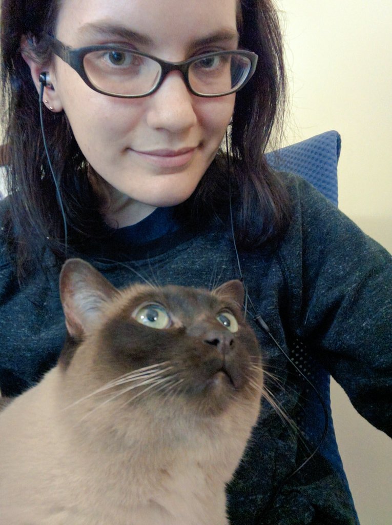 mel_tar's tweet image. Wednesday #purrprogramming 😼