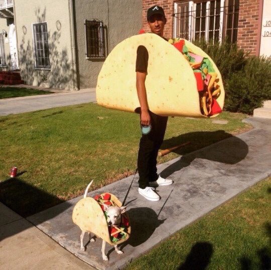 cotdammiteli's tweet photo. if I had a dog..

s/o to my bf who will see this and make me run a mile just for thinking about a taco hi babe 🙃 https://t.co/g24ZlBpWqg