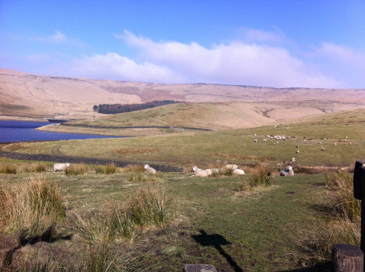 abcdiagnosis's tweet photo. It's happening! Dates for pilot #exercise retreat in #Saddleworth for #breastcancer patients is Frid 26 - Sun 28 Aug https://t.co/4wuOLj4HDc
