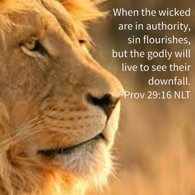 Daily_Proverbs's tweet photo. When the wicked...

#Bible #Proverbs #Christian #wisdom #truth  https://t.co/CKbDLG7bBL https://t.co/nQVvj1axHD