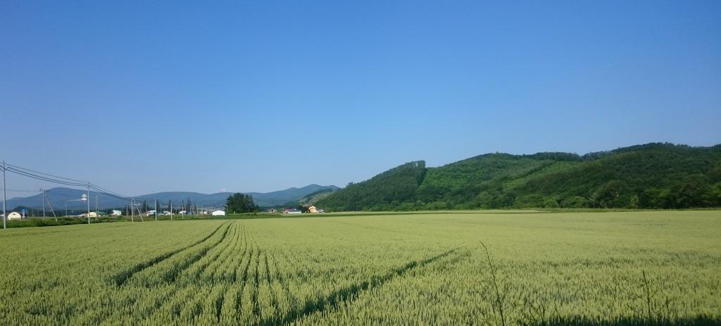 みなさま おはようございます〜(^^)
今日も暑くなりそうです〜☀

お休みの方 楽しい１日を〜🍀🎶
お仕事の方 がんばってくださいo(^o^)o

今日も素敵な１日でありますように🍀😌🍀