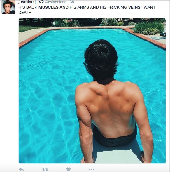 onepiecefam's tweet photo. When she thinks muscles and veins are attractive https://t.co/WjG2xWIRar