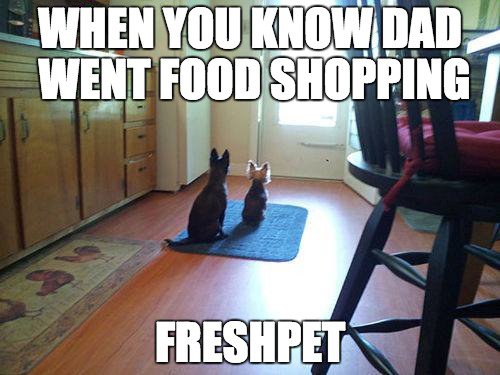 Freshpet's tweet photo. These pups can smell fresh food from miles away. See Alex's story! https://t.co/VOsnPlntLc #doglife https://t.co/7IIKzodpYd