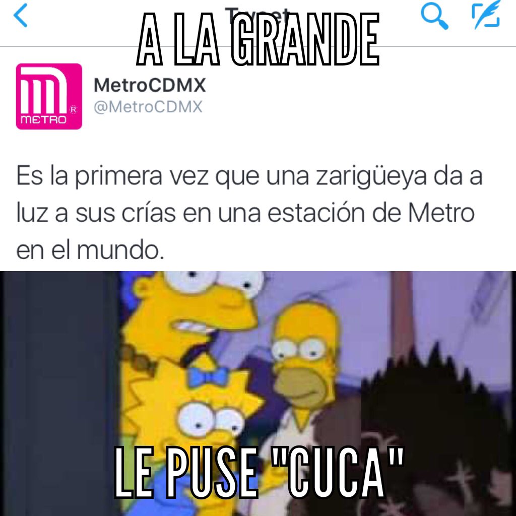 MetroCDMX on Twitter: MetroCDMX on Twitter: