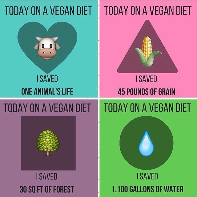 sonnervigtwins's tweet photo. Making the world a better place 🙏🏼✨💚 #gogreen #govegan #sustainable #motherearth #savethep… https://t.co/GuSTg9kEyf https://t.co/2IkTLqCPjH