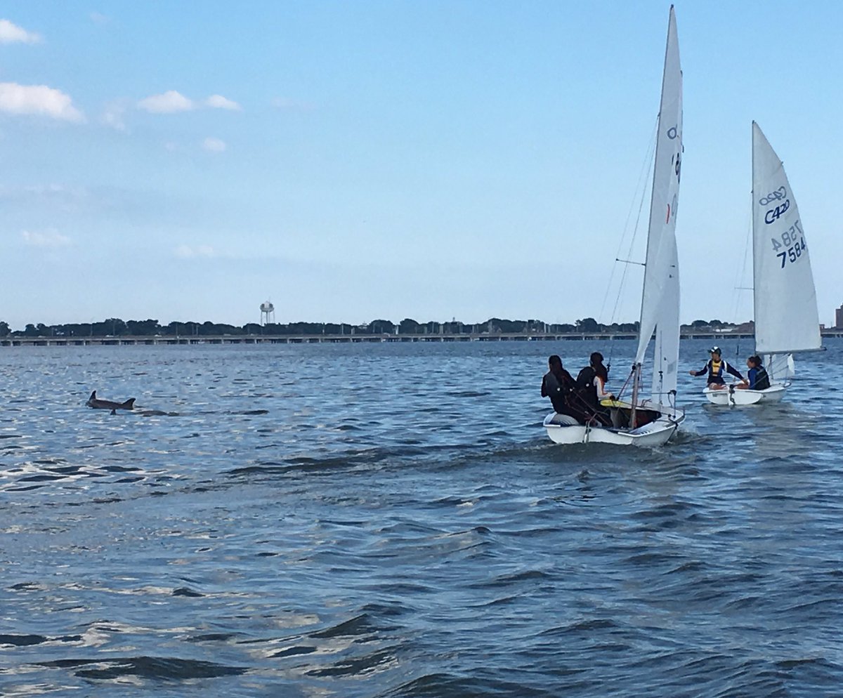 HDSailing's tweet image. Just watching some wildlife pass by during practice #chesapeakebay #c420 #WildlifeWednesday
