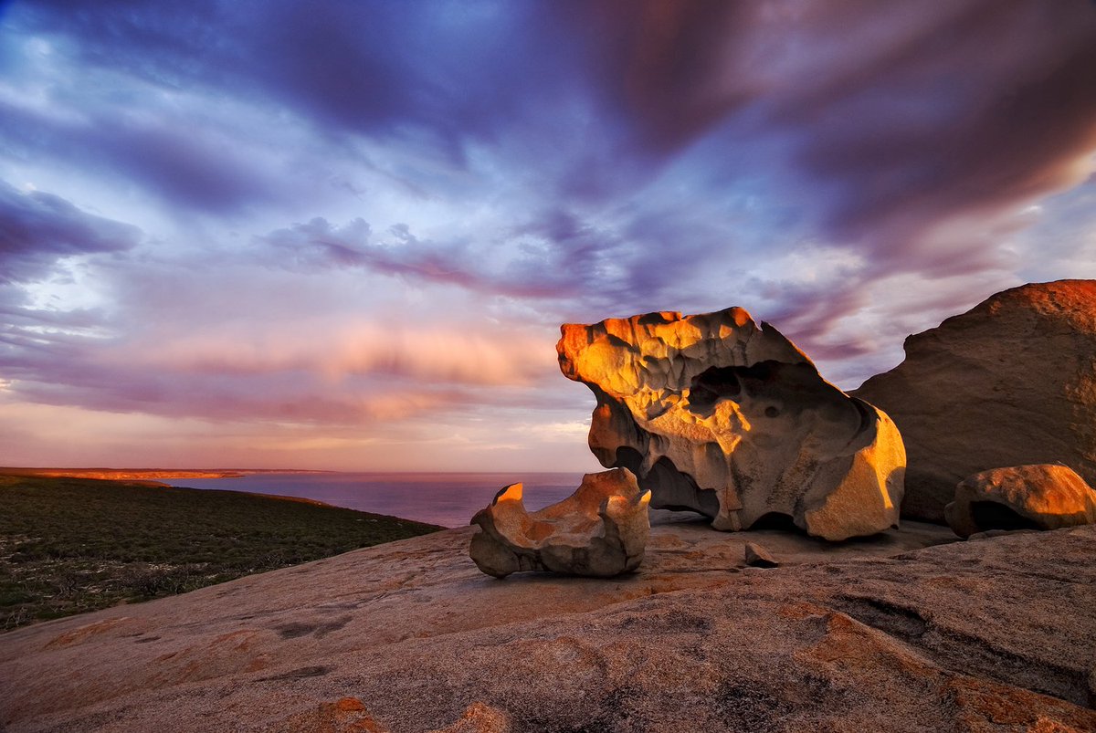 RAAofSA's tweet photo. Have the perfect escape on #KangarooIsland with our SA holiday experiences https://t.co/PsN754LFDi #RAATravel https://t.co/YtMmdGcFEF