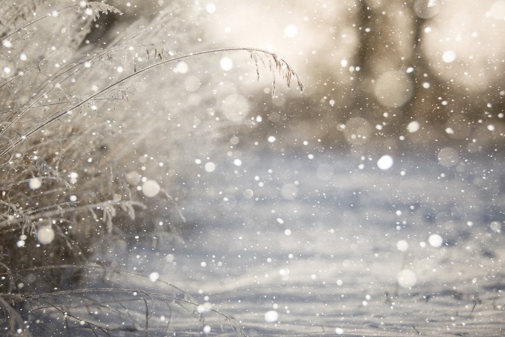 Canada's tweet image. The snow is never far in Canada! #OTD in 1967, #Alberta received 111.8 cm of ❄️, heaviest recorded summer snowfall!