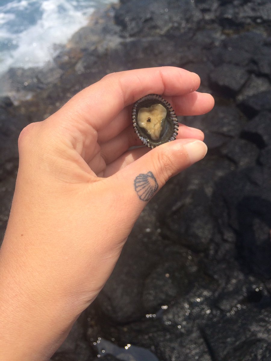 Lauren Ra'chel tweet media