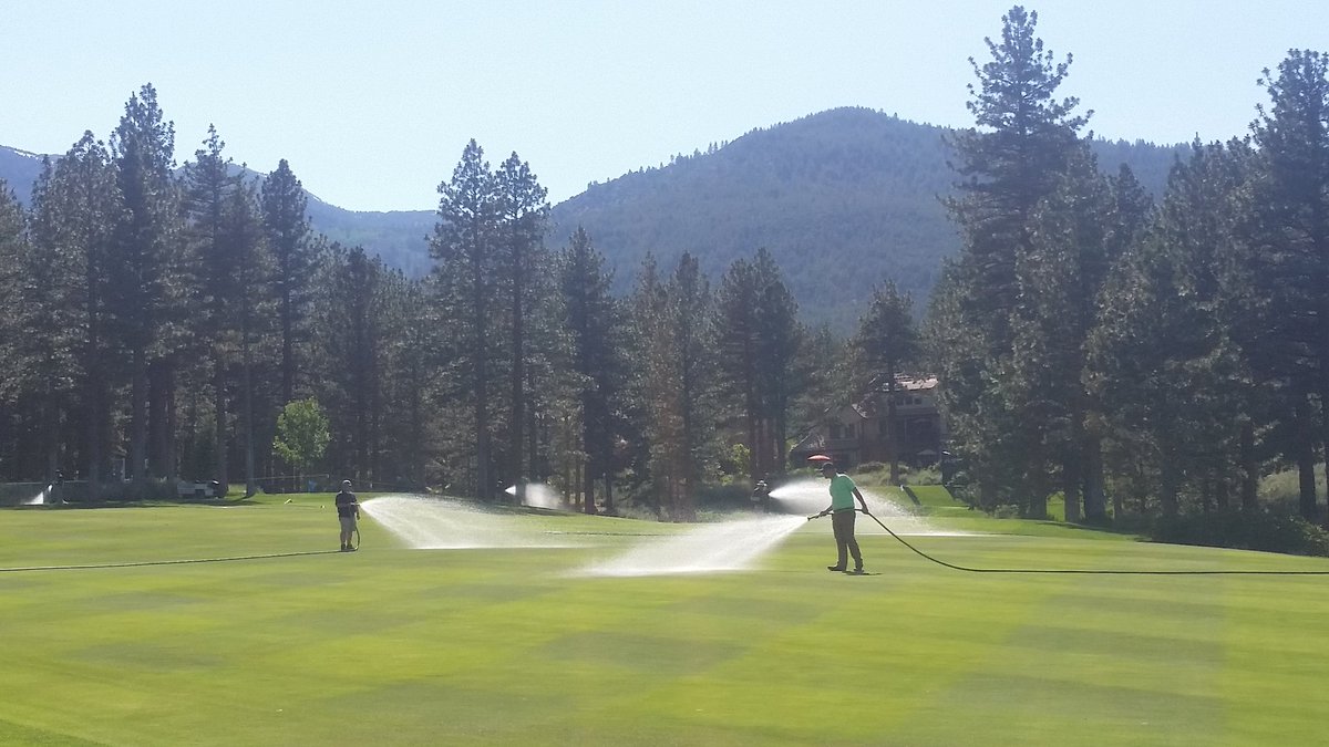 BlandCooper's tweet photo. At 90° F, 9% rel.hum., 20mph winds resulting in ET rates nearing 3/10", this is an all too common scene @CudaChamp https://t.co/y6HrQJ5lup