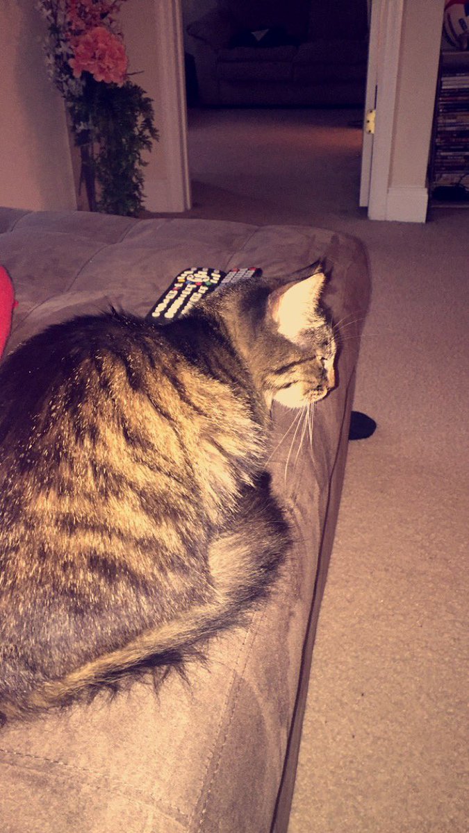 Addicted_To_Fit's tweet image. Welcome home Tink!!! Here's to making memories ❤️