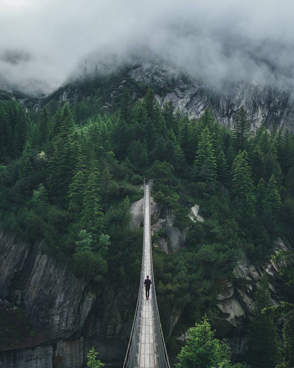 earth's tweet photo. Adventure Awaits 🌲 https://t.co/GAUBUjzJbU