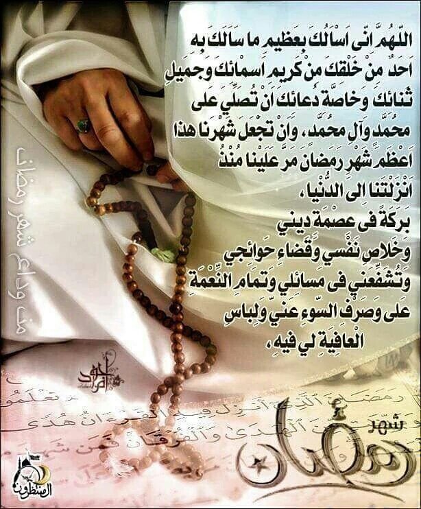 أشرف ابومجاهد الساعد (@ashrfalsady42) on Twitter photo 