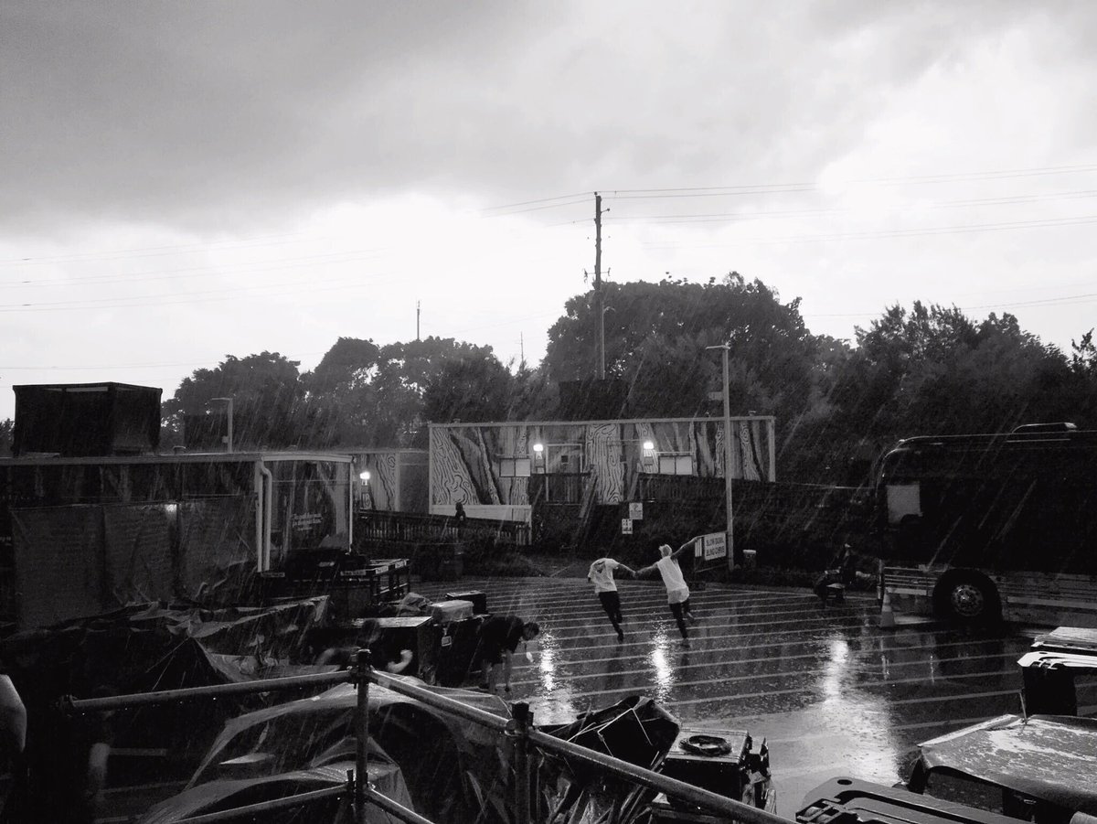 casuallymaddie's tweet image. 