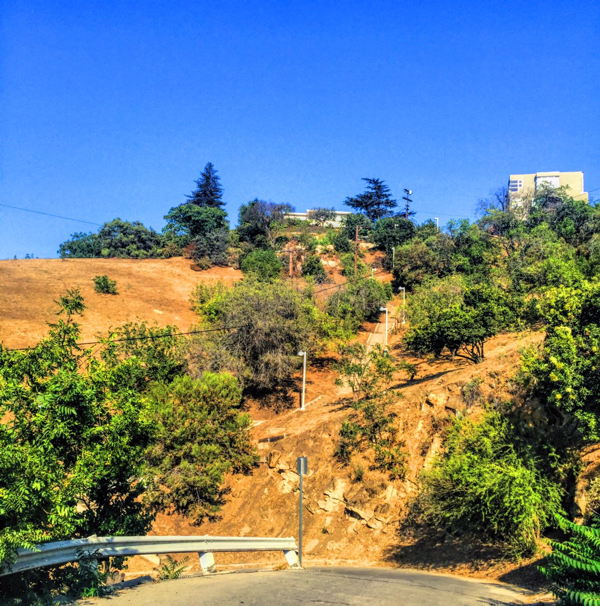chandrimatweets's tweet photo. Just taking the first step makes the rest easier. #BaxterStairs #ILoveLA https://t.co/cin3RXTlpY