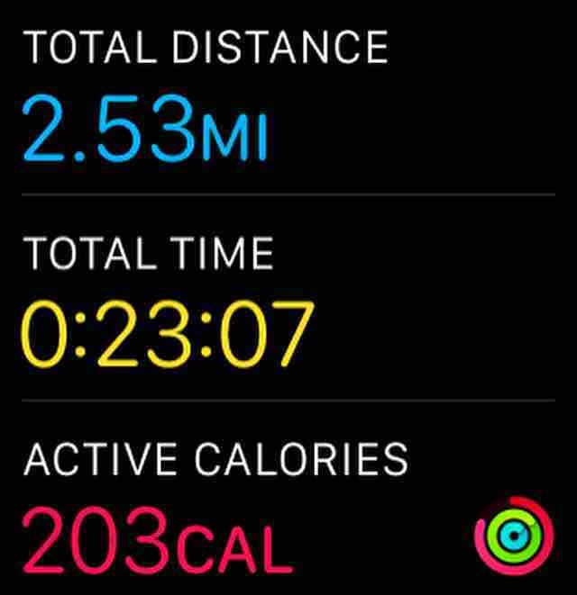 steve_elsner's tweet photo. Day 584 - around 2.5 miles indoor. Easy effort, got it done. #runderfulrunners
#runtheyea… https://t.co/DDbIeACRdv https://t.co/Z9zYr3bJK9