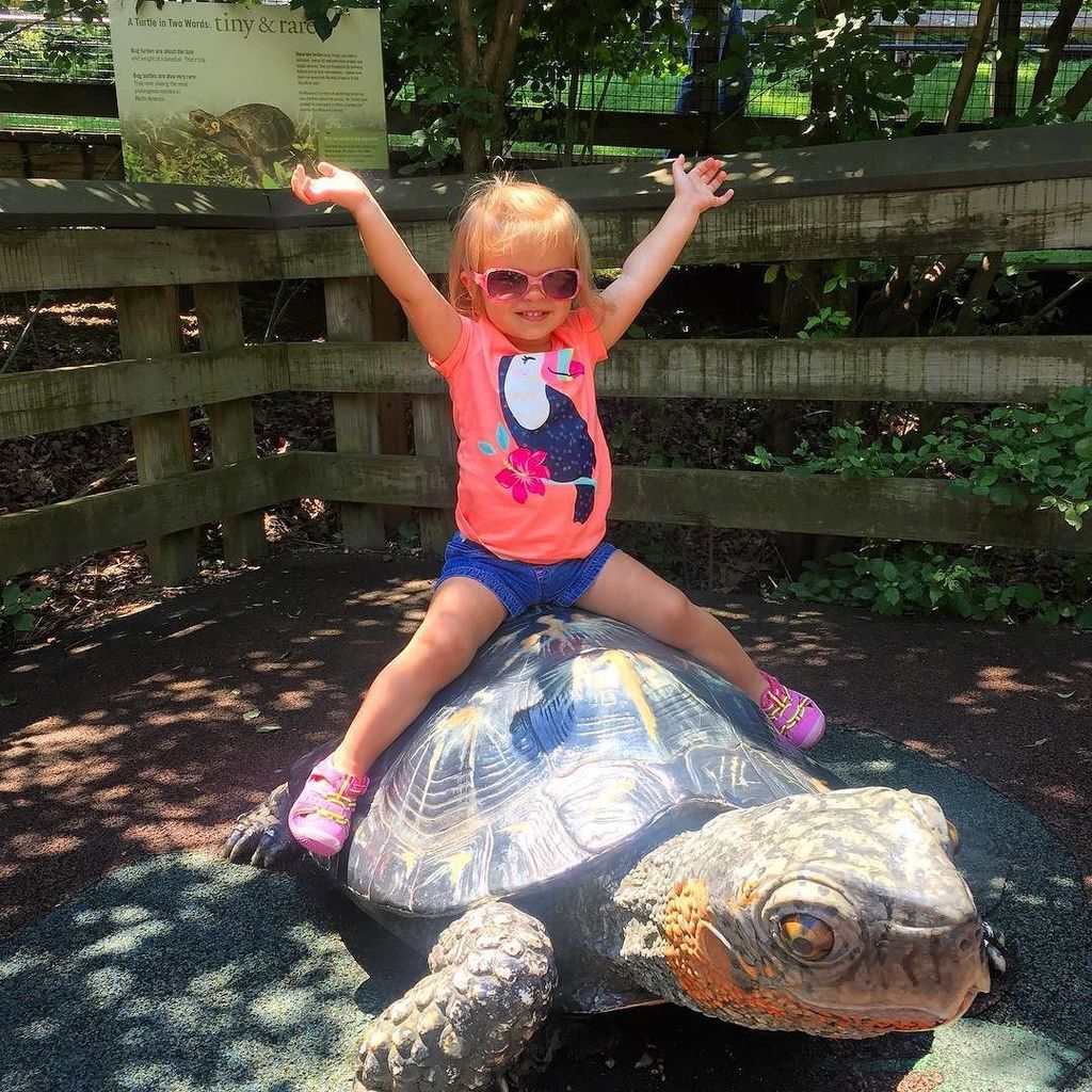 Brooks8041's tweet photo. Rylie at her first zoo trip!  She got to see all the animals!  Riding on turtles means thr… https://t.co/8kHPZnsFC3 https://t.co/MutZnoD9LK