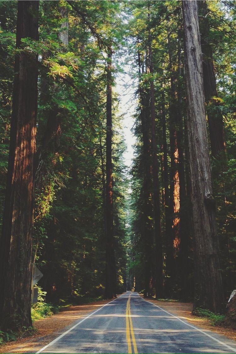 TheEarthsFinest's tweet photo. California https://t.co/bFVLSjo7Lx