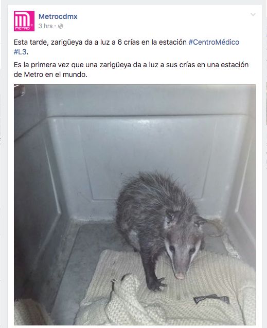El Deforma on Twitter: El Deforma on Twitter: