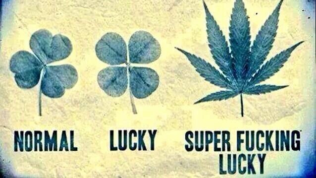 420_BlazeUp's tweet photo. https://t.co/ub9pXduyEa