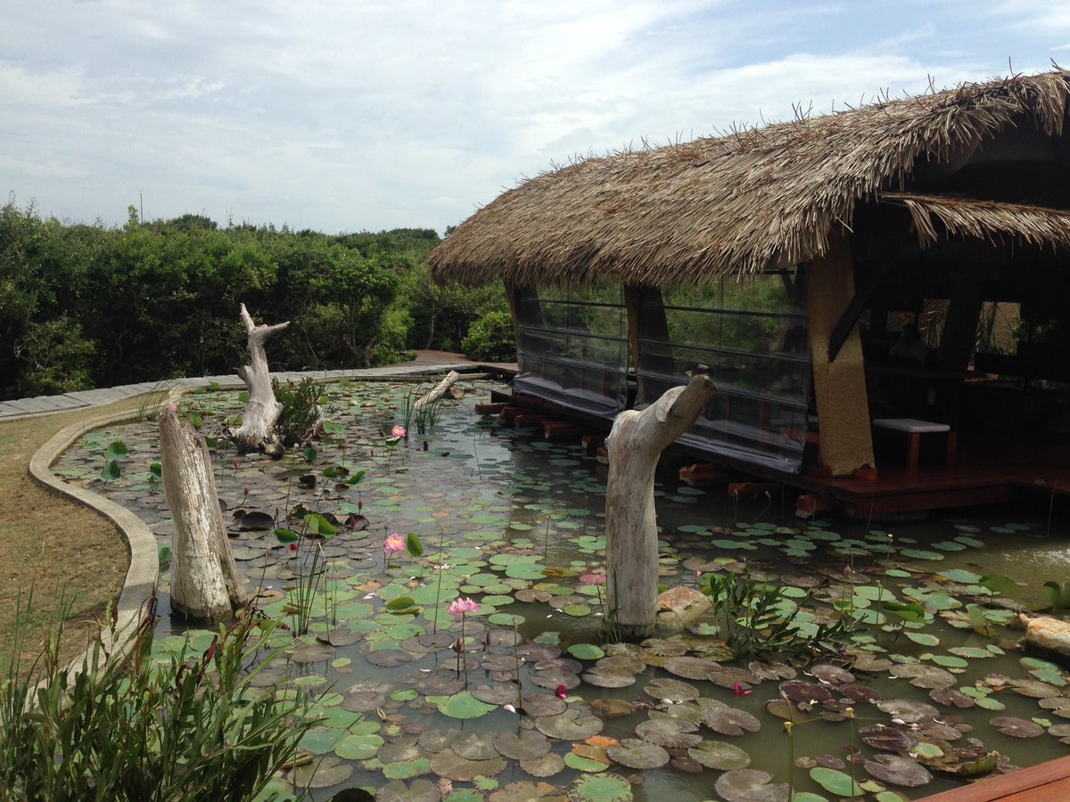 JonathanB_ER's tweet photo. Just amazing @UgaEscapes #yala #safari #SriLanka https://t.co/Ucho5peM03
