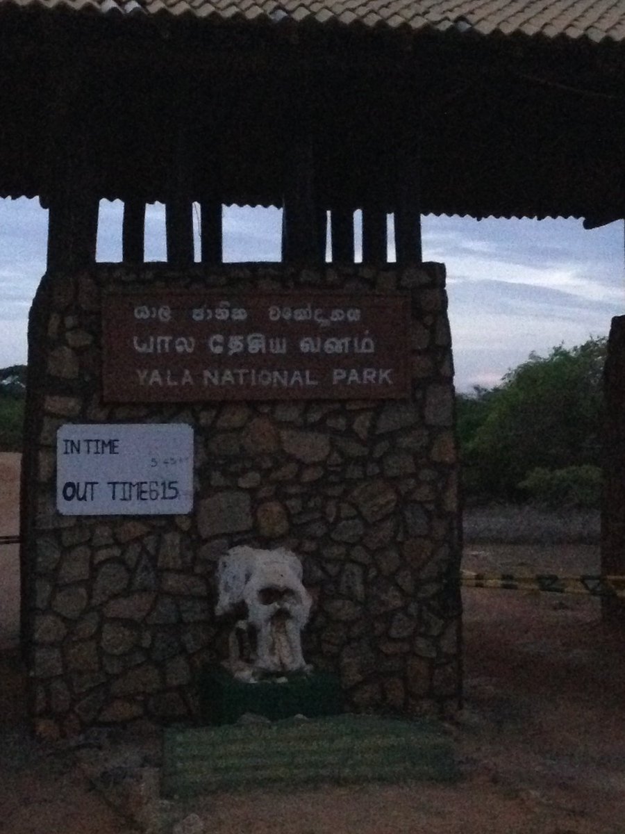 JonathanB_ER's tweet photo. Just amazing @UgaEscapes #yala #safari #SriLanka https://t.co/Ucho5peM03