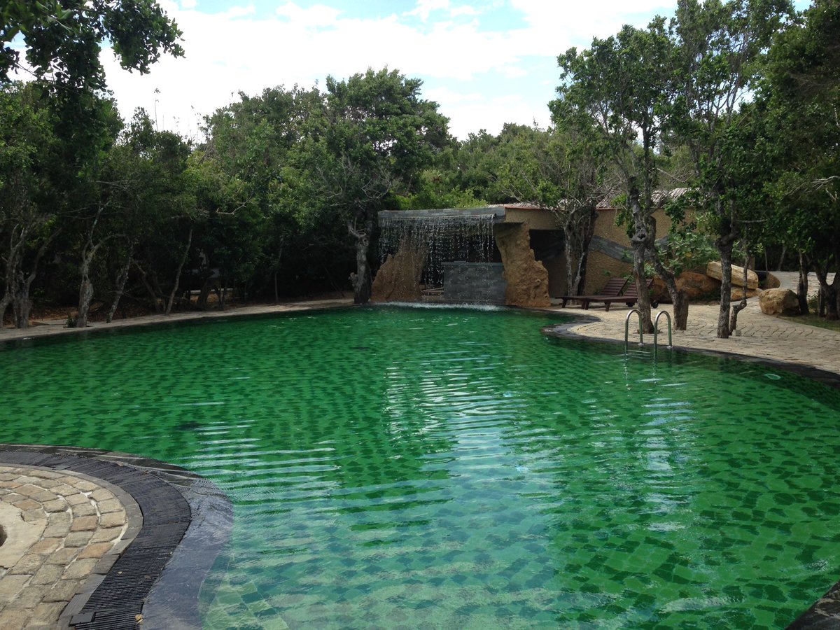 JonathanB_ER's tweet photo. Just amazing @UgaEscapes #yala #safari #SriLanka https://t.co/Ucho5peM03