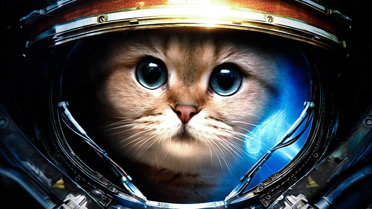 spaceshyp's tweet image. Spaceship is hiring! Do you want to become an astronaut? Learn more at hack.spaceship.rocks/astronauts/ #startup #hiring ;)
