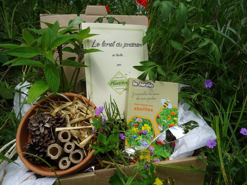 Plantibox's tweet photo. Plus que 6 jours pour commander la #plantibox de #juillet. Notre #box de #jardinage va vous étonner. #Jardin #graine https://t.co/rMyMNtGUHD