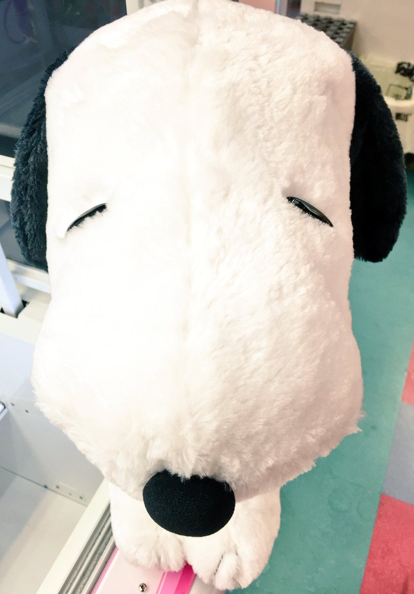 ピタゴラス Sur Twitter プライズ情報 Snoopy ギガジャンボおすわりぬいぐるみ 全１種 投入済みです スヌーピーのとっても 大きいぬいぐるみが登場です 大きいサイズのぬいぐるみは珍しいので是非getしてスヌーピーに癒されちゃってくださいね