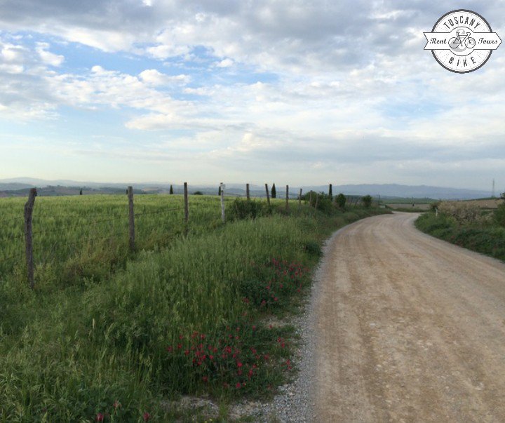 ridetuscany's tweet photo. White roads in Tuscany....a unique experience that you definitely have to live!
https://t.co/5i4egOiwss https://t.co/fclHiQSDOj