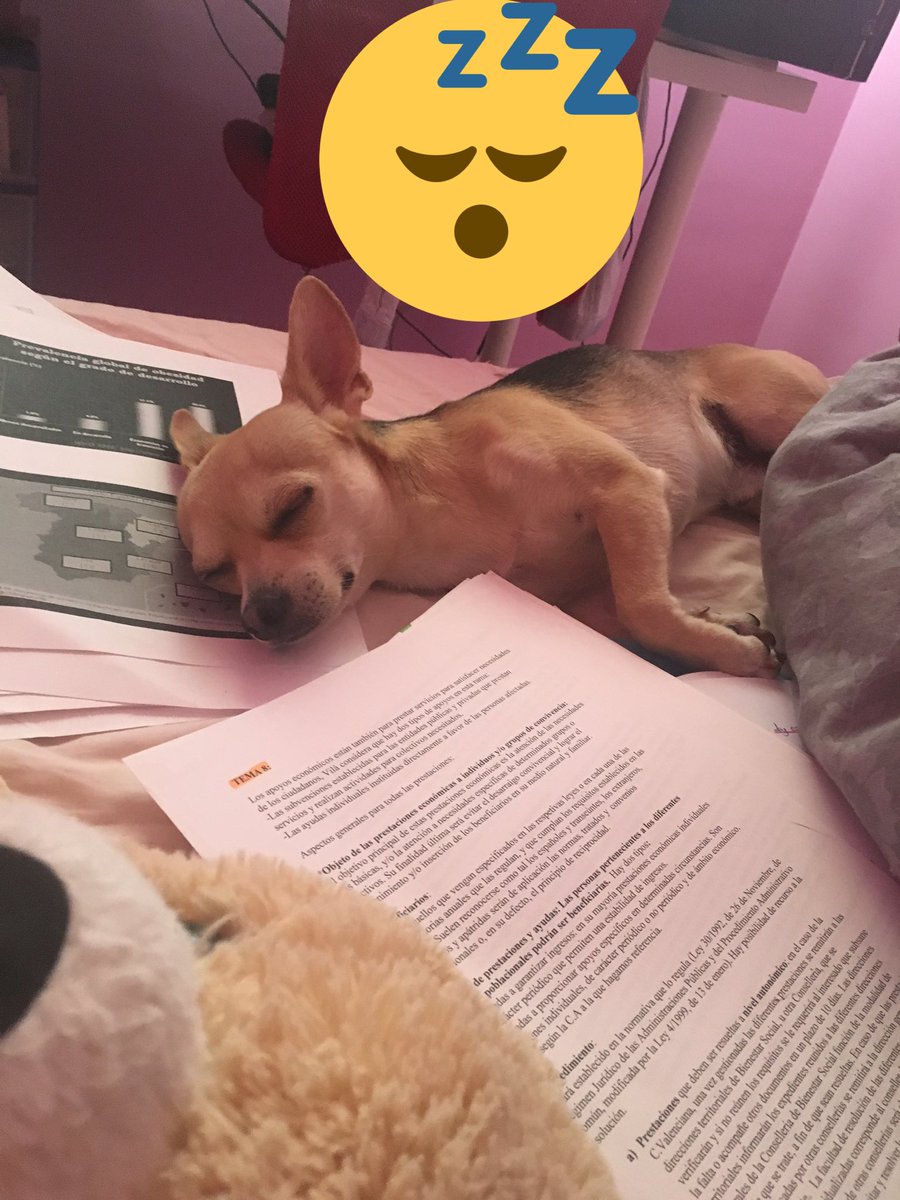 ArantxaRubi's tweet photo. Yo en los estudios 💤 https://t.co/SPI3RwOJny