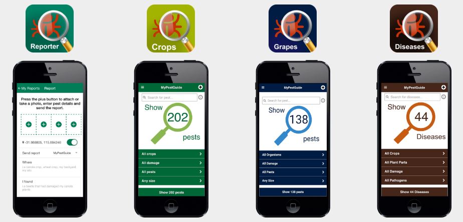 Wheatbeltnrm's tweet photo. #MyPestGuide Reporter – identify & report #pests quickly using @DAF_WA’s phone app https://t.co/22QuhgW617 https://t.co/9FiRxS0N79