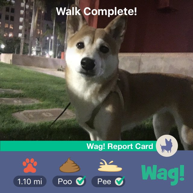 Just got my dog walked by Wag! Thanks so much @WagWalking! https://t.co/MlsSpzi5Q0 https://t.co/YmI4