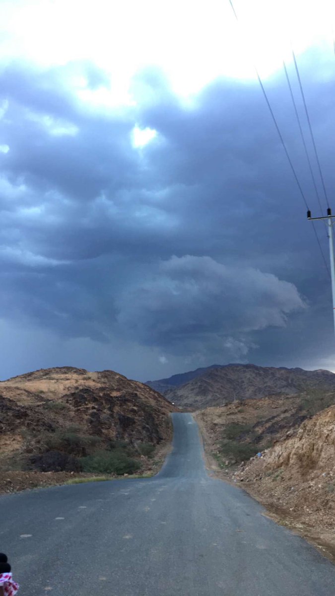 foo9100 tweet picture