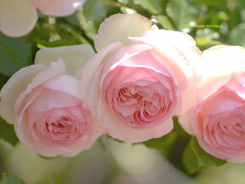 Nyomandian's tweet photo. Thank you dear friends
Sincerely https://t.co/ZpumhCXUcv