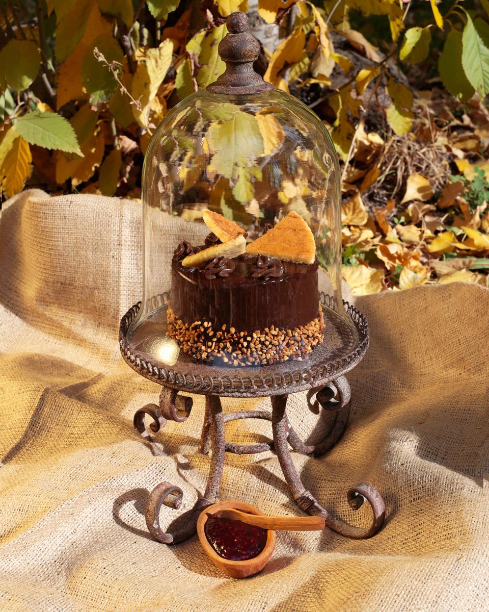 PipiCakesTw's tweet photo. #DobosCake!
Producción de fotos para Pipi Cakes
PH: @LauraPerezfotos
Asistente de producción Cheff: Dorella Moccio https://t.co/dyadwS9t8X