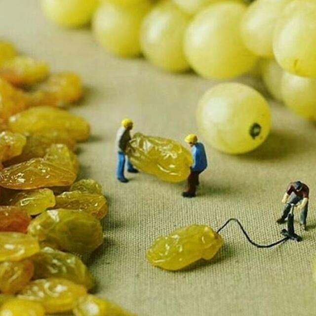 Shane Mumba (@shane_mumba) on Twitter photo 