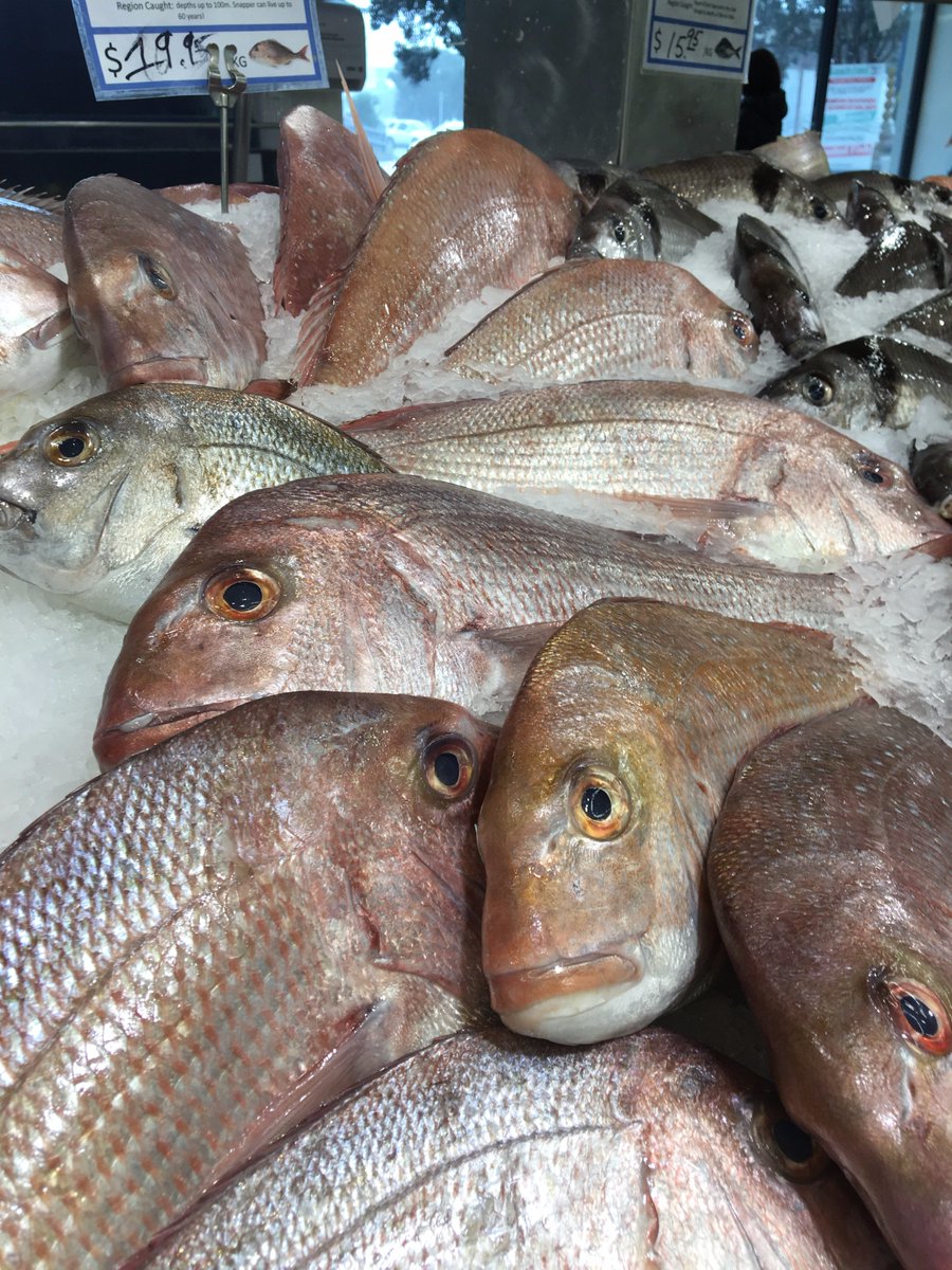 Super fresh #fish <a href="/AucklandFishMkt/">Auckland Fish Market</a>