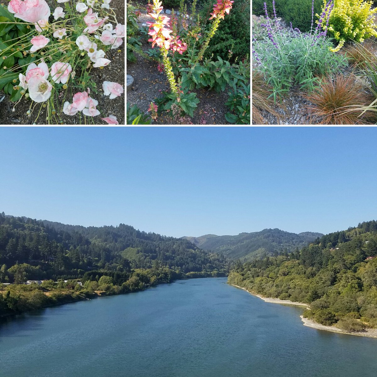 jewelrygirl541's tweet image. #MyDayGotBetterWhen I took a #detour on my way #home from #work