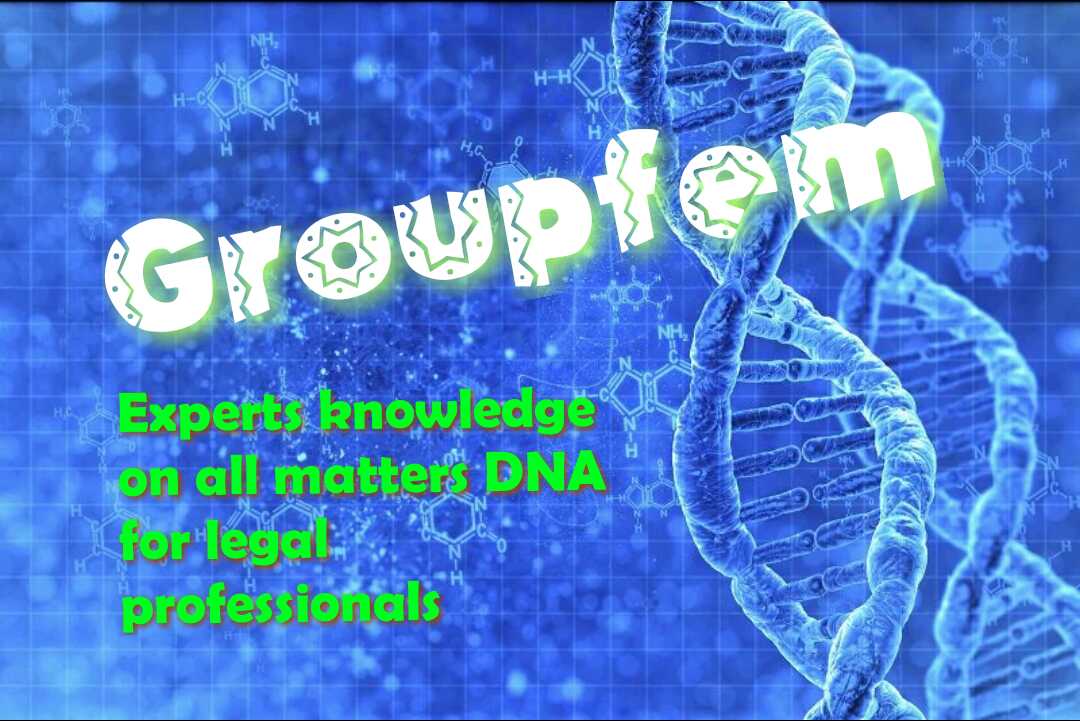 GroupFem tweet picture