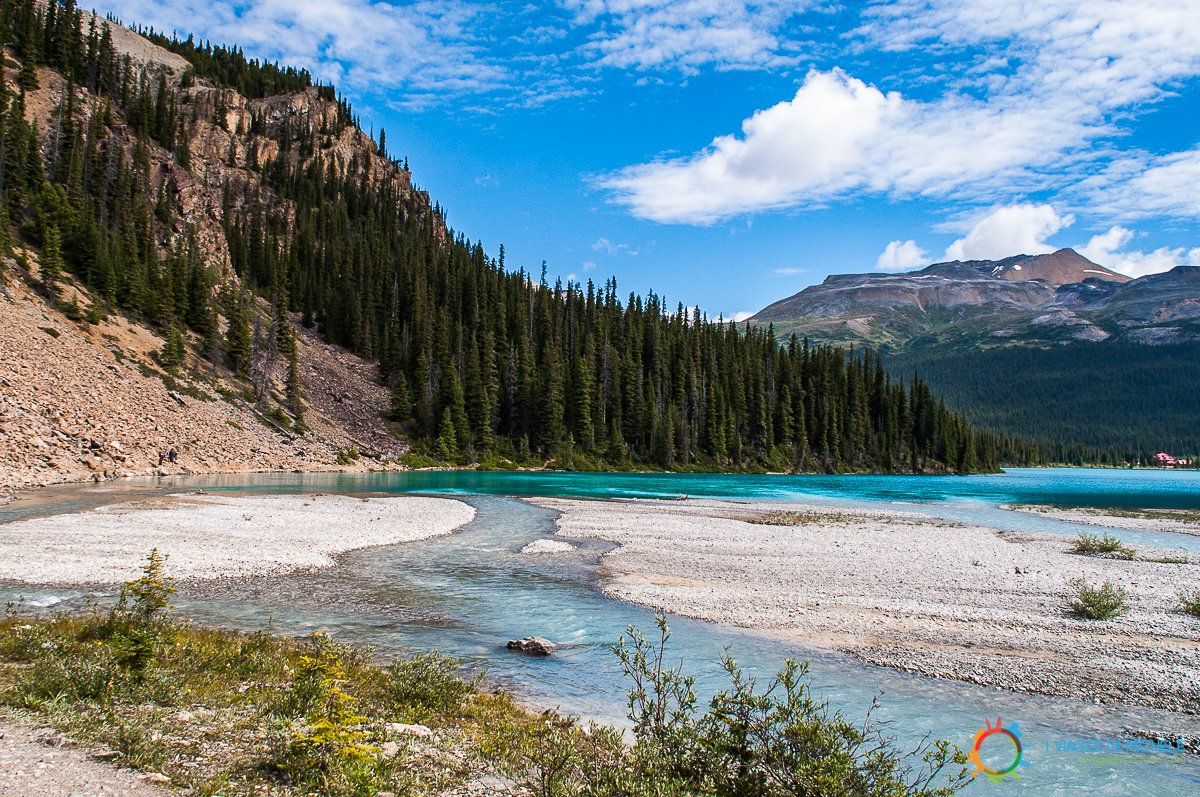 travelwecan's tweet photo. #Canada e #Alaska, un viaggio epico tra montagne bellissime, oceano, orsi e balene! @HelloBC @VisitRupert @AlaskaNPS https://t.co/kEo0h7Qj41