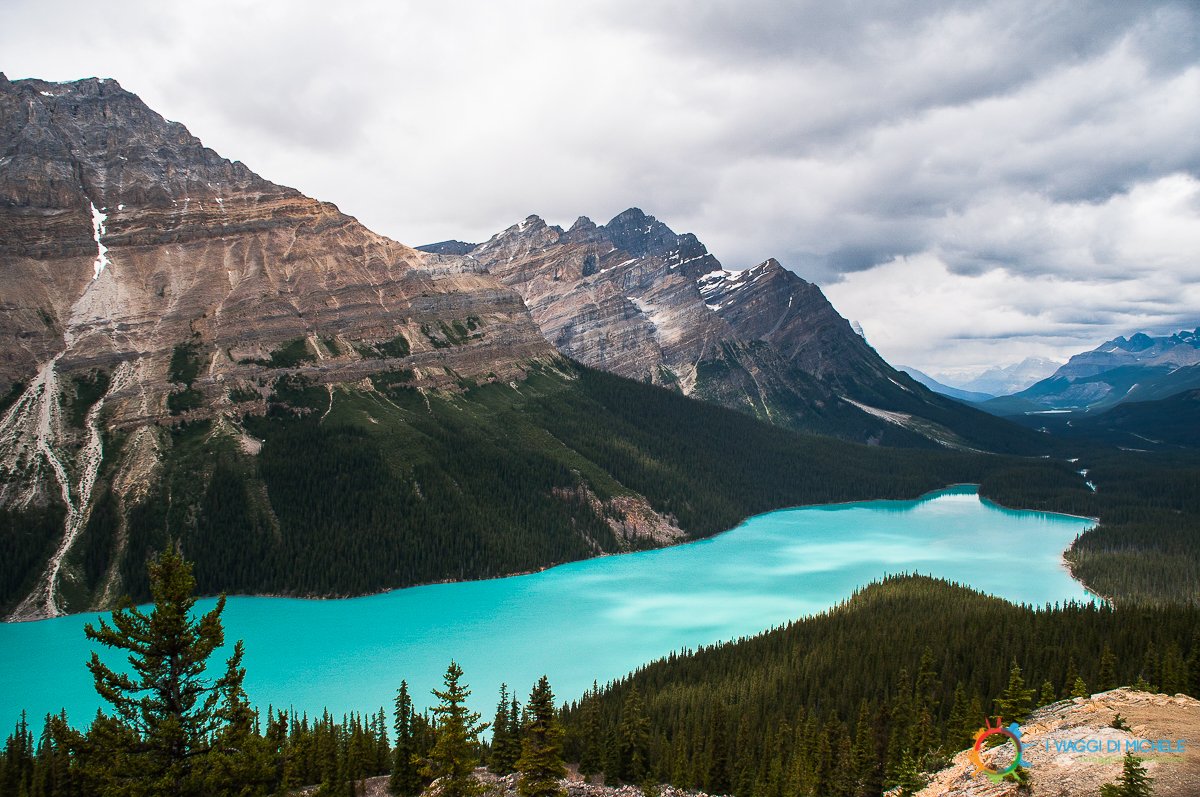 travelwecan's tweet photo. #Canada e #Alaska, un viaggio epico tra montagne bellissime, oceano, orsi e balene! @HelloBC @VisitRupert @AlaskaNPS https://t.co/kEo0h7Qj41