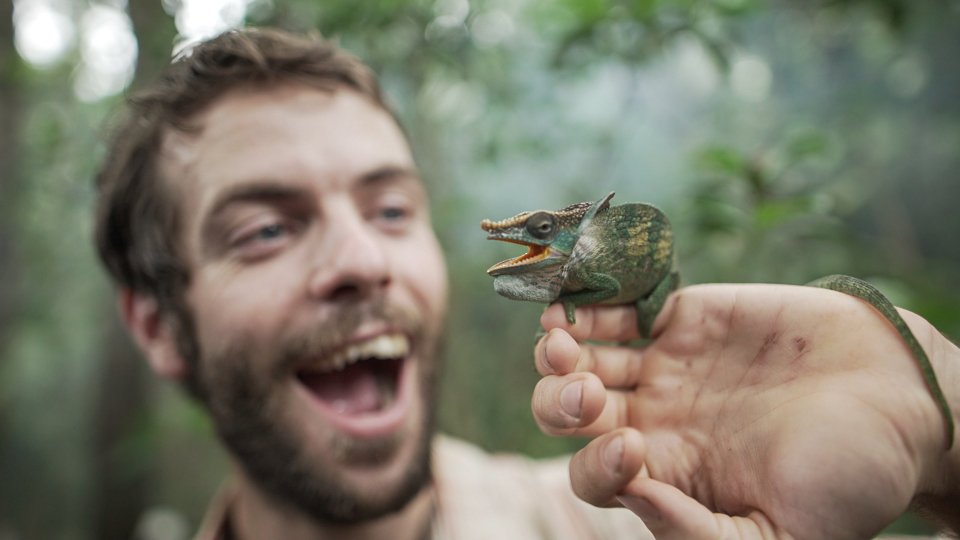 James_Borrell's tweet photo. The 12 Types Of Conservation Career (and how to choose which one is for you?) https://t.co/clQFc5JbBM #wildlife https://t.co/oO2FXaAfBf