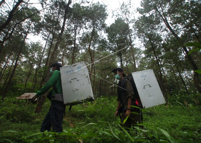 antarafoto.com/peristiwa/v146…